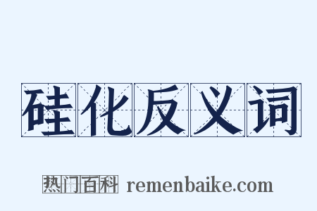 硅化反义词是什么意思的图片